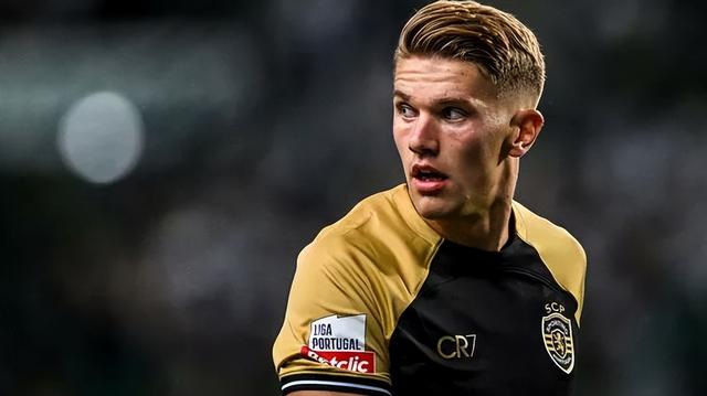  明尼苏达森林狼英文 -开云综合网站